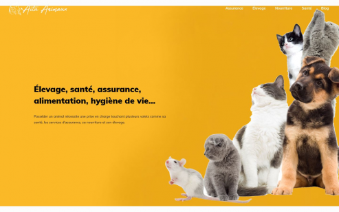 https://www.actuanimaux.fr