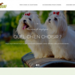 https://www.ouaf-ouaf.eu