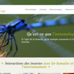 https://www.entomologie.fr