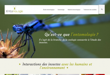 https://www.entomologie.fr