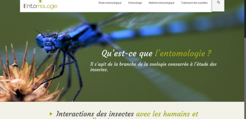 https://www.entomologie.fr