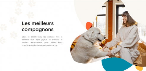 https://www.animalconseil.com